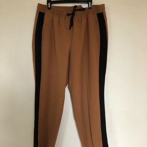 Lane Bryant Trousers